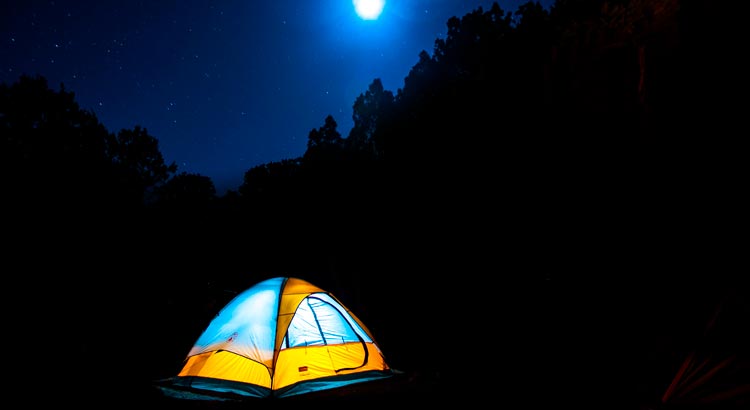 Mantén alejados a los mosquitos en tu acampada